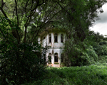 abandoned jungle mansion